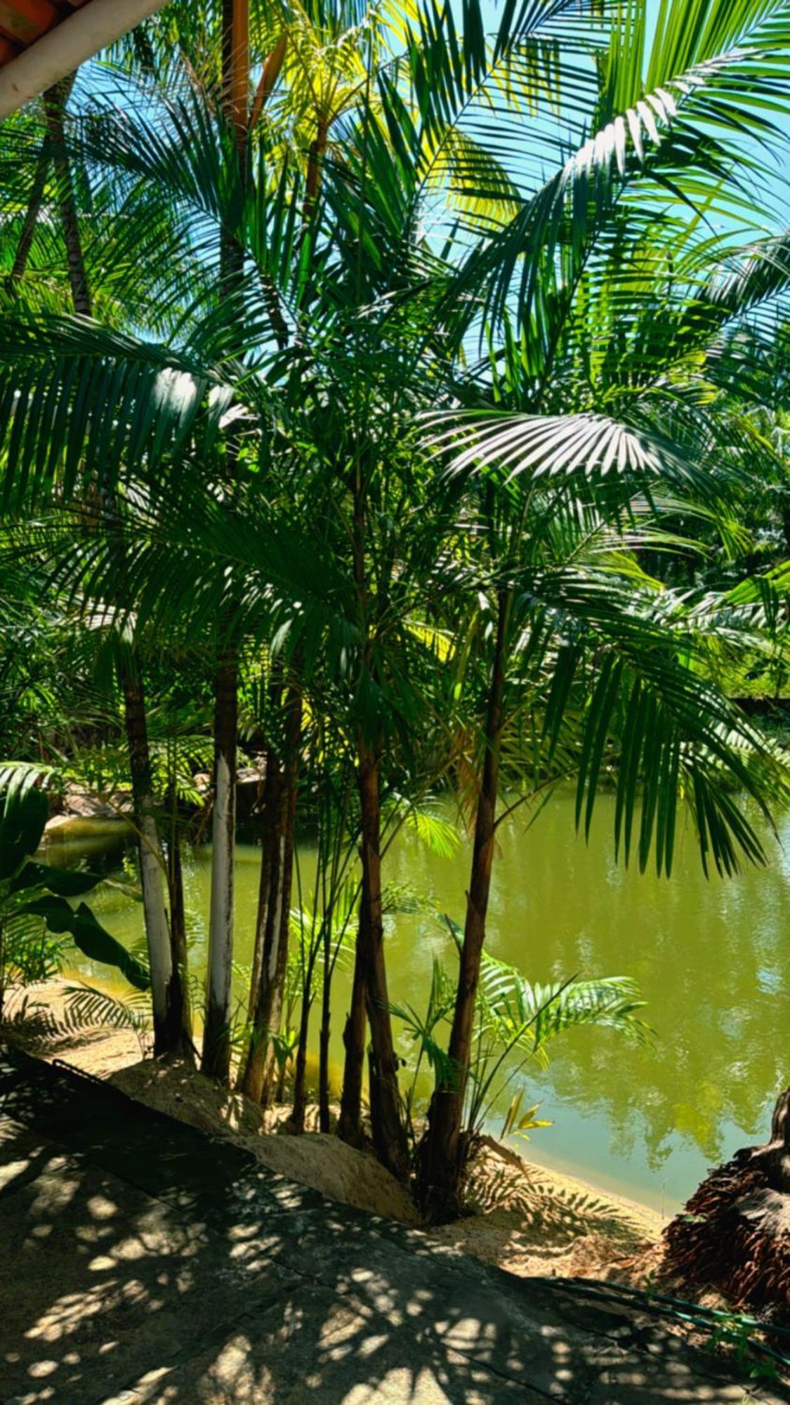 Pousada Beira Rio Barrerinhas Hotel Barreirinhas Eksteriør billede