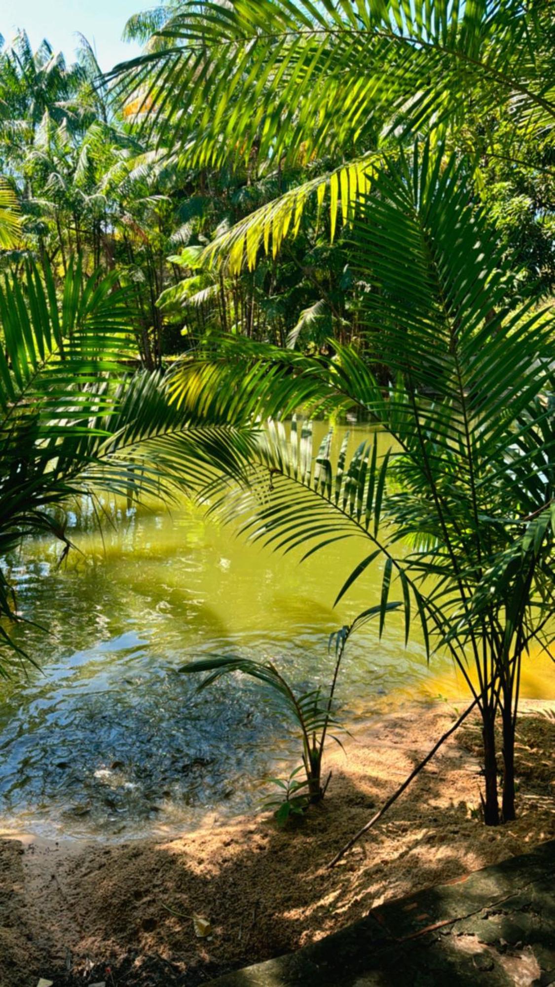 Pousada Beira Rio Barrerinhas Hotel Barreirinhas Eksteriør billede
