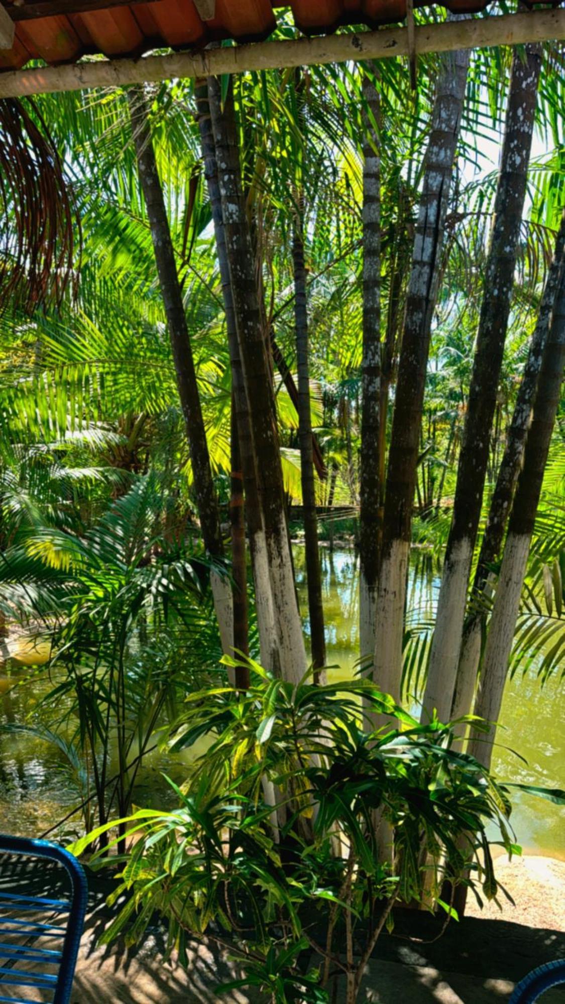 Pousada Beira Rio Barrerinhas Hotel Barreirinhas Eksteriør billede