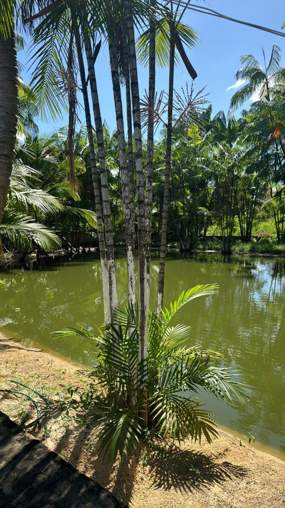 Pousada Beira Rio Barrerinhas Hotel Barreirinhas Eksteriør billede
